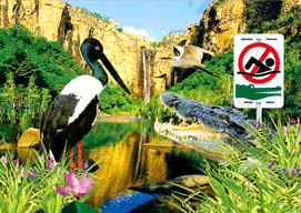 3D Magnets Group 3 - fair-dinkum-gifts