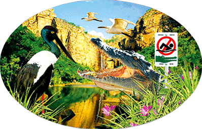 3D Oval Sticker Aussie Animals Australian Souvenirs Lenticular Bumper Stickers - fair-dinkum-gifts