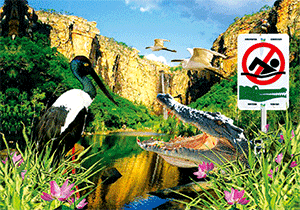 3D Postcard Aussie Themes Australian Animals Souvenir Group 3 - fair-dinkum-gifts