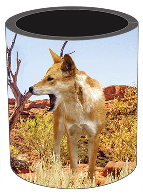 3D Stubby Holders Set of 4 Lenticular Printed Aussie Designs - 34 to choose from - fair-dinkum-gifts