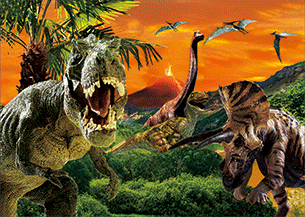 3D Postcard Aussie Themes Australian Animals Souvenir Group 3 - fair-dinkum-gifts