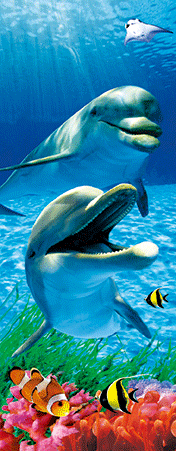 Pack of 5 x 3D Bookmarks LENTICULAR Book Marks Aussie Australian Theme Animals Souvenirs - fair-dinkum-gifts