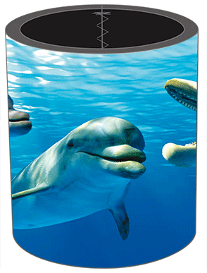 3D Stubby Holders Set of 4 Lenticular Printed Aussie Designs - 34 to choose from - fair-dinkum-gifts