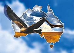 3D Magnets Group 3 - fair-dinkum-gifts