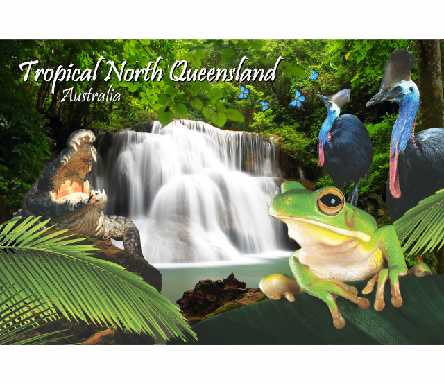 Microfibre Teatowels Australian Designs Souvenir Gifts - fair-dinkum-gifts