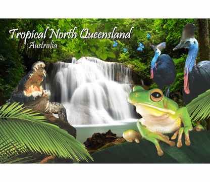 Microfibre Teatowels Australian Designs Souvenir Gifts - fair-dinkum-gifts