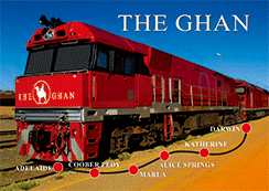 3D Magnets Group 3 - fair-dinkum-gifts