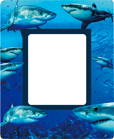 3D Photo Frame Magnets - Group 1 - fair-dinkum-gifts