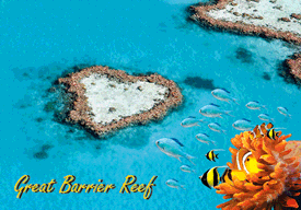 3D Magnets Group 3 - fair-dinkum-gifts