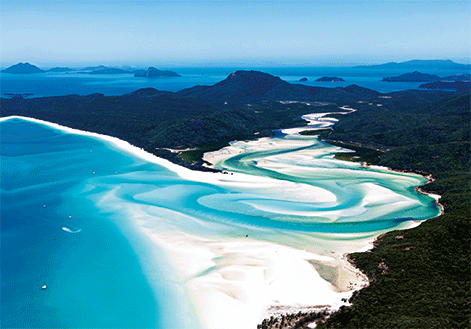 3D Magnets Group 1 - fair-dinkum-gifts