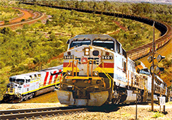 3D Magnets Group 3 - fair-dinkum-gifts