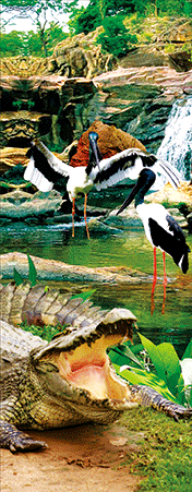 Pack of 5 x 3D Bookmarks LENTICULAR Book Marks Aussie Australian Theme Animals Souvenirs - fair-dinkum-gifts