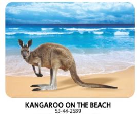 3D Placemat Australian Animals/Themes