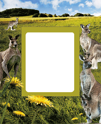 3D Photo Frame Magnets - Group 1 - fair-dinkum-gifts