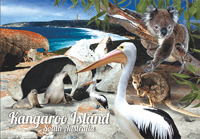 3D Magnets Group 2 - fair-dinkum-gifts