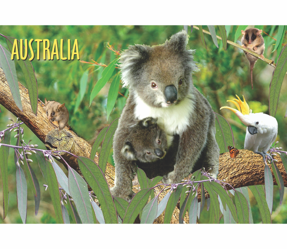 Personalised Onesie Romper - Australian Icons Happy Koala by Suki McMa —  sukimcmaster