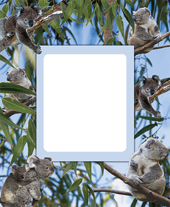 3D Photo Frame Magnets - Group 1 - fair-dinkum-gifts