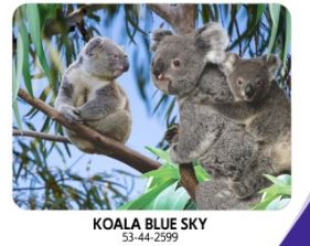 3D Placemat Australian Animals/Themes