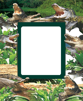 3D Photo Frame Magnets - Group 1 - fair-dinkum-gifts