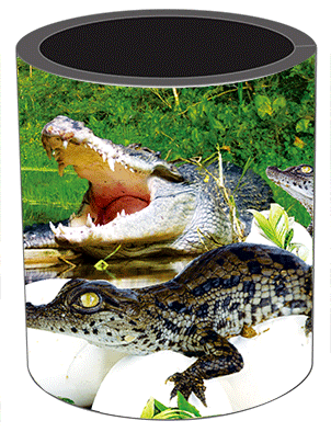 3D Stubby Holders Set of 4 Lenticular Printed Aussie Designs - 34 to choose from - fair-dinkum-gifts