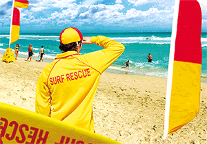 3D Postcard Aussie Themes Australian Animals Souvenir Group 3 - fair-dinkum-gifts