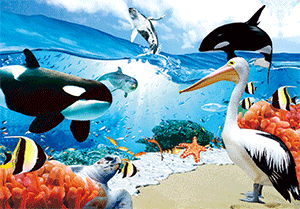 3D Postcard Aussie Themes Australian Animals Souvenir Group 3 - fair-dinkum-gifts