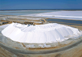 3D Magnets Group 3 - fair-dinkum-gifts