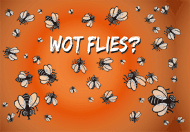 3D Magnets Group 3 - fair-dinkum-gifts