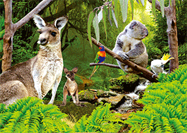 3D Magnets Group 3 - fair-dinkum-gifts