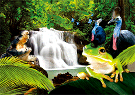 3D Magnets Group 3 - fair-dinkum-gifts