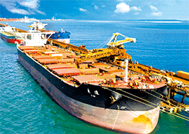 3D Magnets Group 3 - fair-dinkum-gifts