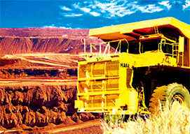 3D Magnets Group 3 - fair-dinkum-gifts