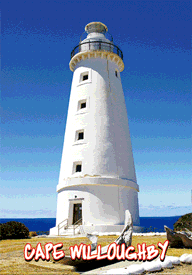 3D Magnets Group 2 - fair-dinkum-gifts