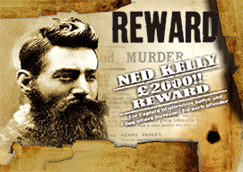 3D Magnets Group 3 - fair-dinkum-gifts