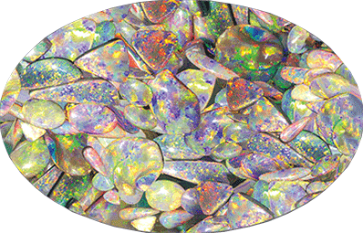 3D Oval Sticker Aussie Animals Australian Souvenirs Lenticular Bumper Stickers - fair-dinkum-gifts