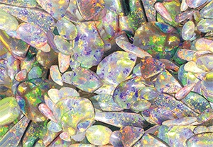 3D Magnets Group 1 - fair-dinkum-gifts