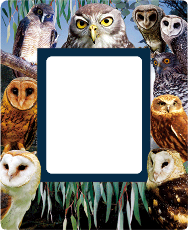 3D Photo Frame Magnets - Group 1 - fair-dinkum-gifts