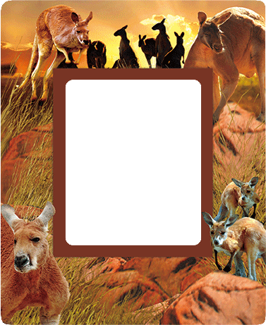 3D Photo Frame Magnets - Group 1 - fair-dinkum-gifts