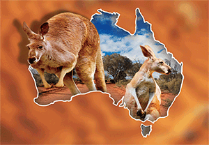 3D Magnets Group 1 - fair-dinkum-gifts