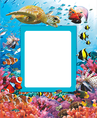 3D Photo Frame Magnets - Group 1 - fair-dinkum-gifts