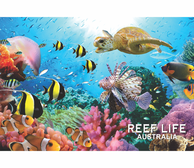 Microfibre Teatowels Australian Designs Souvenir Gifts - fair-dinkum-gifts