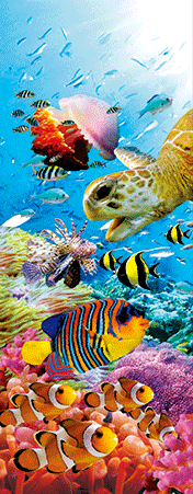 Pack of 5 x 3D Bookmarks LENTICULAR Book Marks Aussie Australian Theme Animals Souvenirs - fair-dinkum-gifts