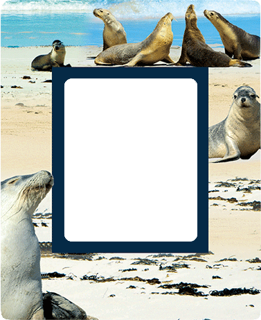 3D Photo Frame Magnets - Group 1 - fair-dinkum-gifts