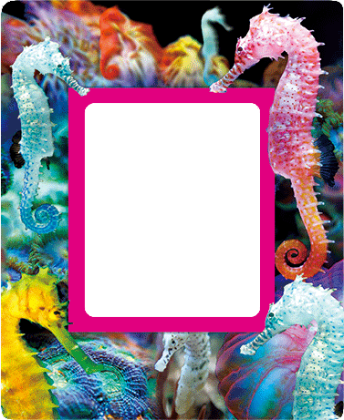 3D Photo Frame Magnets - Group 1 - fair-dinkum-gifts