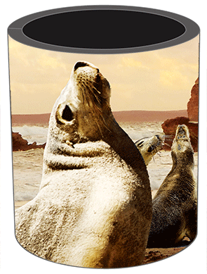 3D Stubby Holders Set of 4 Lenticular Printed Aussie Designs - 34 to choose from - fair-dinkum-gifts