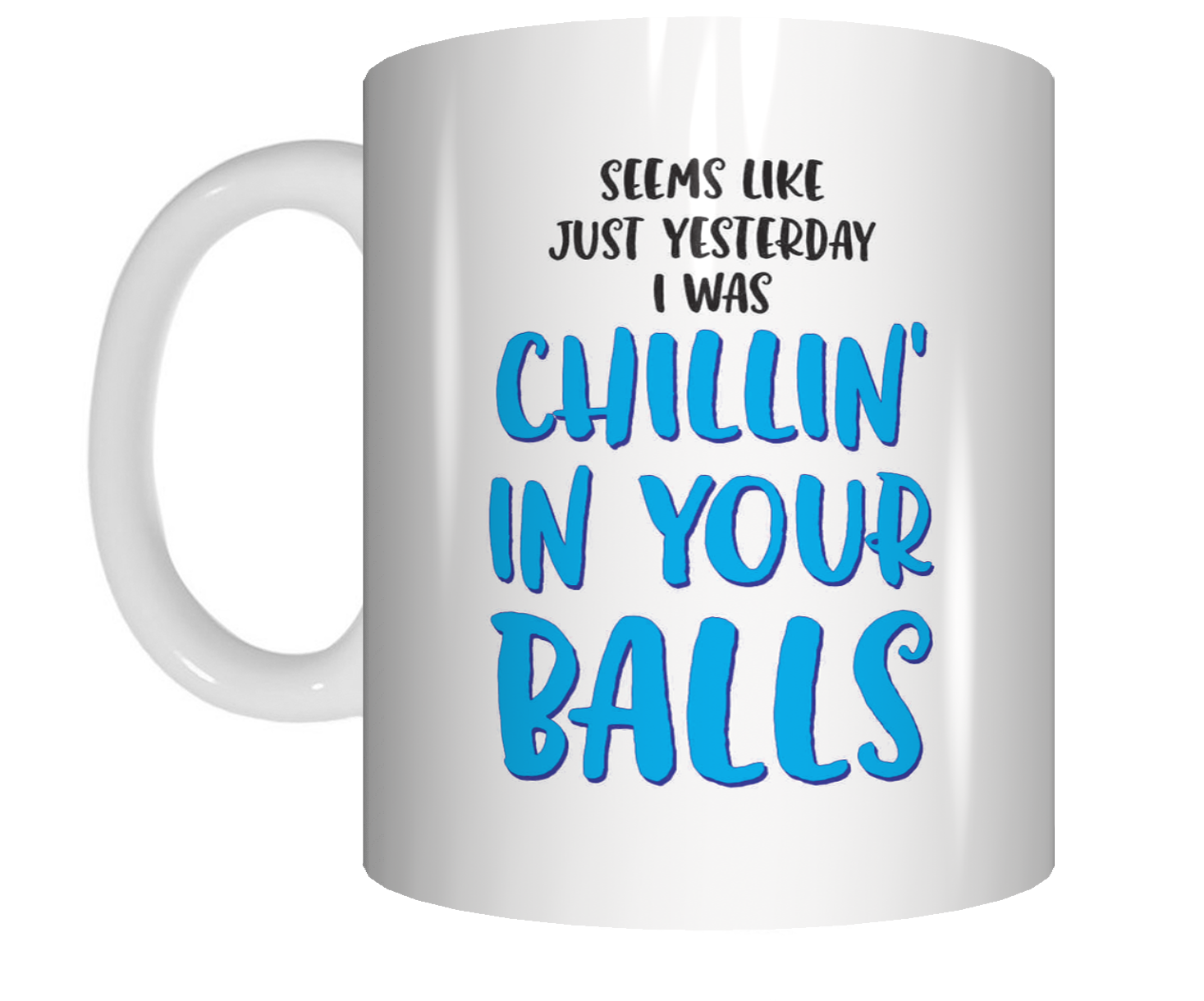 Seems Like Just Yesterday I Was Chilling In Your Balls Coffee Mug Rude Funny Gift CRU07-92-12027 - fair-dinkum-gifts