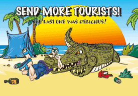 3D Magnets Group 1 - fair-dinkum-gifts