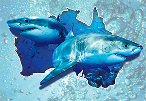 3D Postcard Aussie Themes Australian Animals Souvenir Group 3 - fair-dinkum-gifts