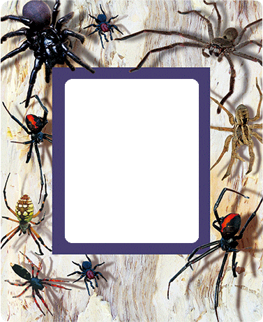 3D Photo Frame Magnets - Group 1 - fair-dinkum-gifts