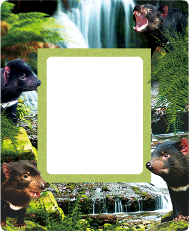 3D Photo Frame Magnets - Group 1 - fair-dinkum-gifts